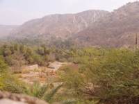 Rajasthan landscape